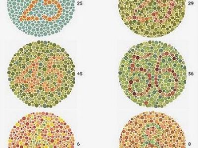 TEST: Crezi ca vezi bine? Uita-te bine la imagine si spune ...