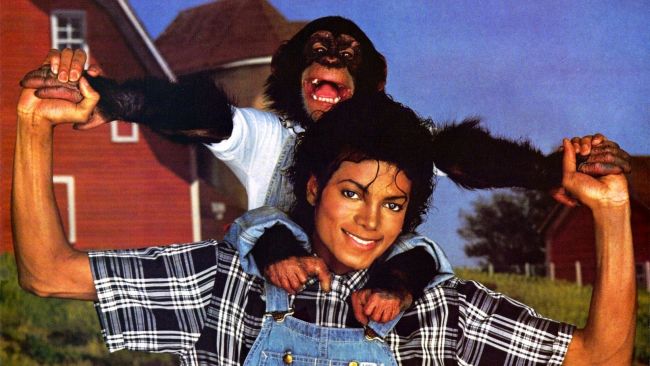Kangaroos, pigs, wolves ndash; see which are the strangest pets of celebrities! Kangaroos, pigs, wolves ndash; see which are the strangest pets of celebrities!