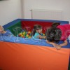 IMG_1179 copy