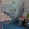 IMG_1210 copy