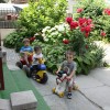 IMG_1228 copy