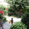 IMG_1229 copy