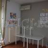IMG_1651 copy