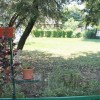 IMG_2007_resize copy