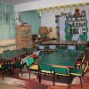 Dumbrava_minunata_16 copy