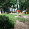 Dumbrava_minunata_35 copy