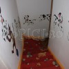 IMG_1498 copy