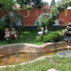 IMG_1881_resize copy