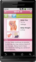 babybump