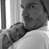 harper3