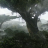 avatar10
