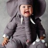 elefant