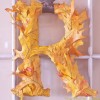 craft0