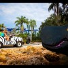 legoland-ride-4