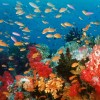 ocean-3