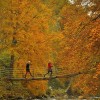 toamna-peisaje