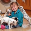 dalmatieni-copil-uk4 dalmatieni-copil-uk4