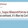 gwyneth-twitter