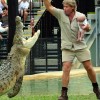 steve-robert-zoo steve-robert-zoo